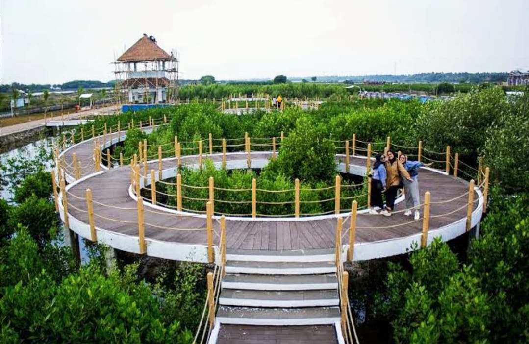 Hutan Mangrove Teluknaga, Wisata Alam dan Spot Foto Instagramble di Tangerang 