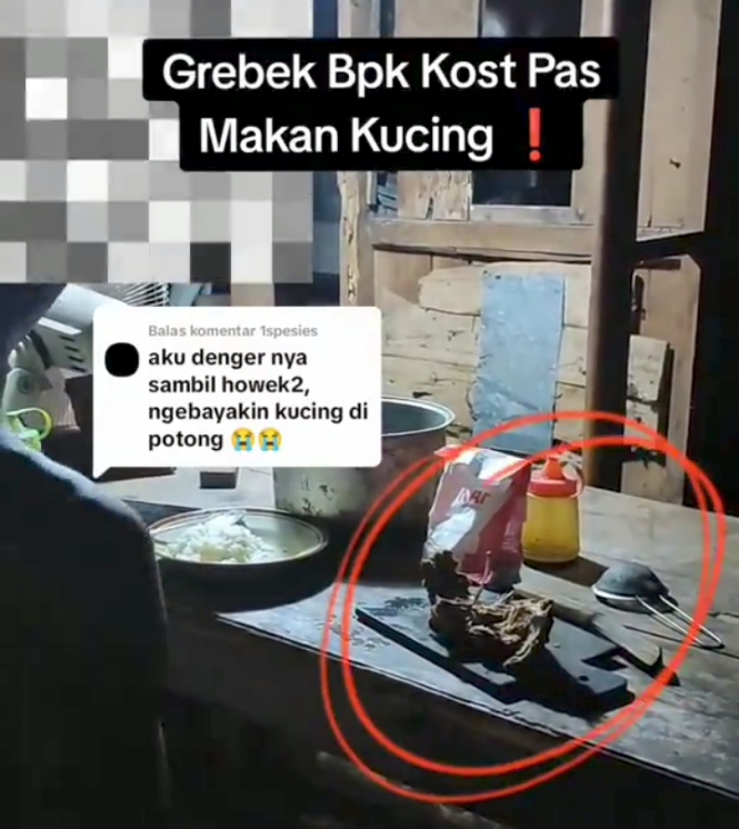 Tega, Video Bapak Kos Makan Kucing Untuk Obat Diabetes Viral di Medsos