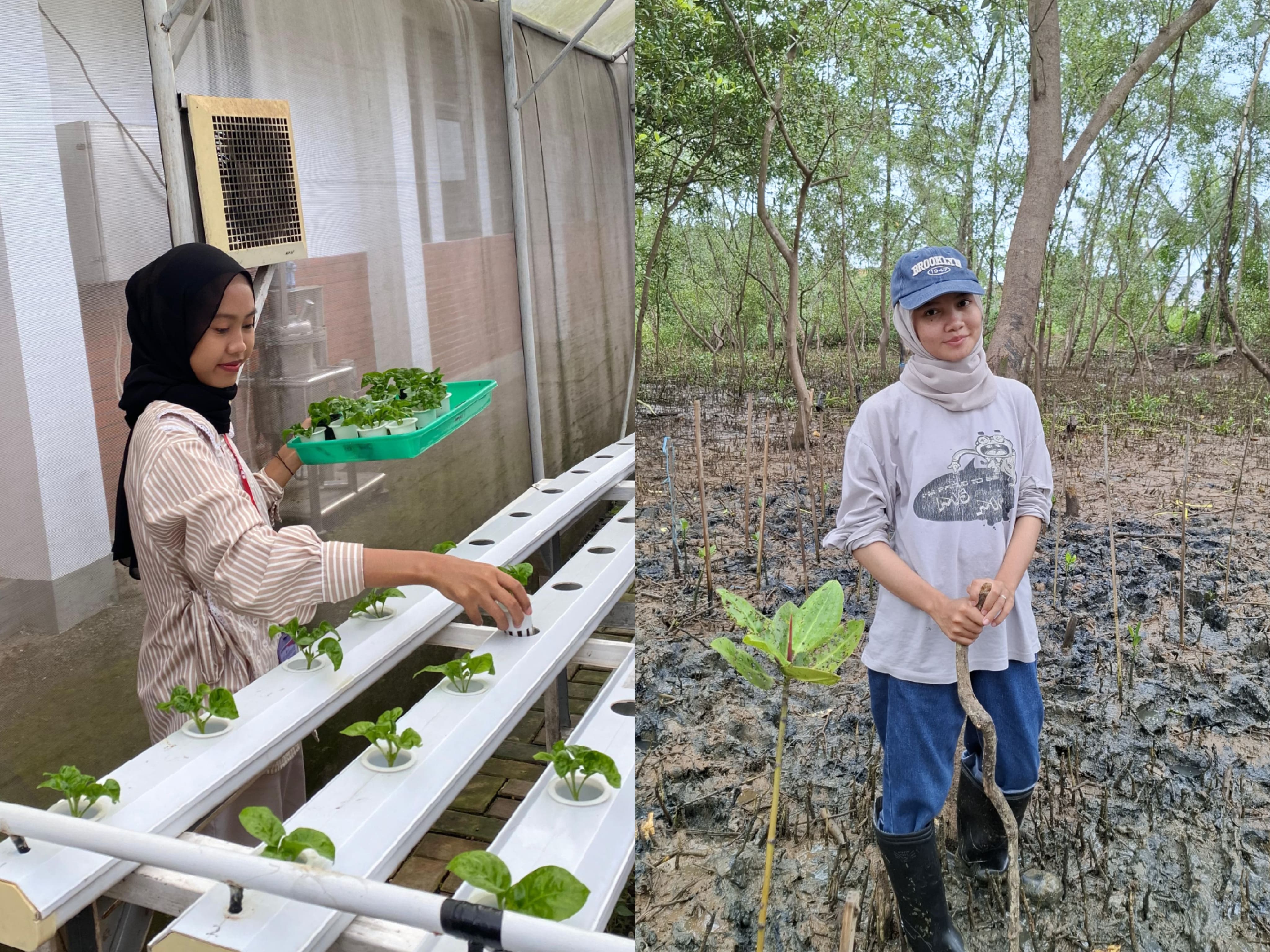 ‎Bertani Ala Gen Z, Hidroponik Jadi Pilihan