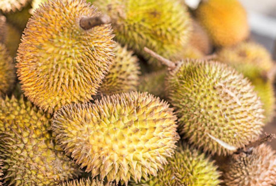 Manfaat Mengonsumsi Buah Durian yang Jarang Diketahui, Salah Satunya Dapat Menangkal Depresi