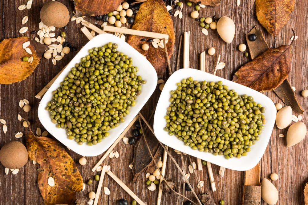 Kacang Hijau: Makanan Kecil dengan Sejuta Manfaat untuk Kesehatan