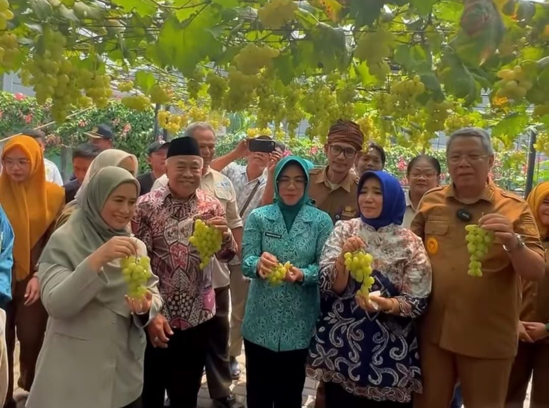Mendukung Pertanian Lokal, Istri Gubernur Andra Soni Hadiri Panen Anggur di Tangerang Selatan