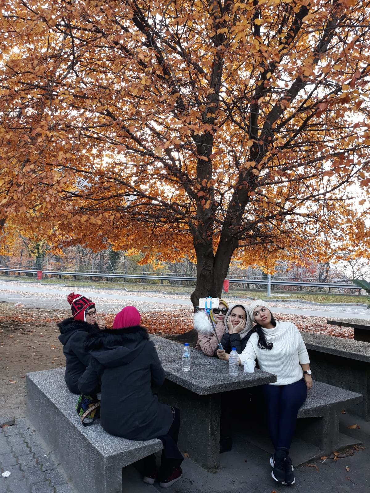 Rekomendasi Destinasi Liburan Musim Dingin yang Wajib Dikunjungi di Akhir Tahun