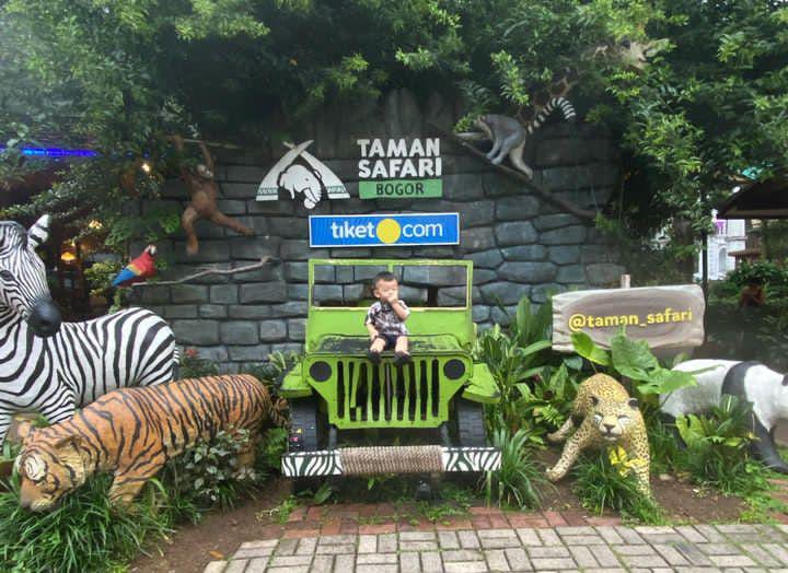 Berapa Harga Tiket Masuk ke Taman Safari Bogor? Ini Tarif Terbaru untuk Mobil dan Motor Mulai Juli 2024