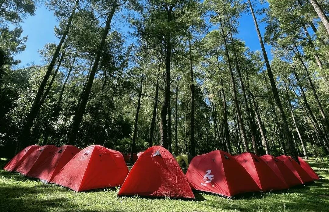 Mau Jalan-jalan ke Air Terjun di Malang, Siapkan Hal ini   