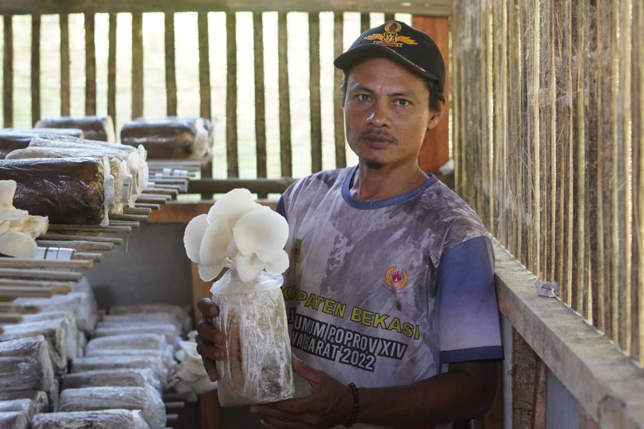 Maju Jaya Tani Manfaatkan Limbah Industri Pengrajin Kayu Jadi Makanan