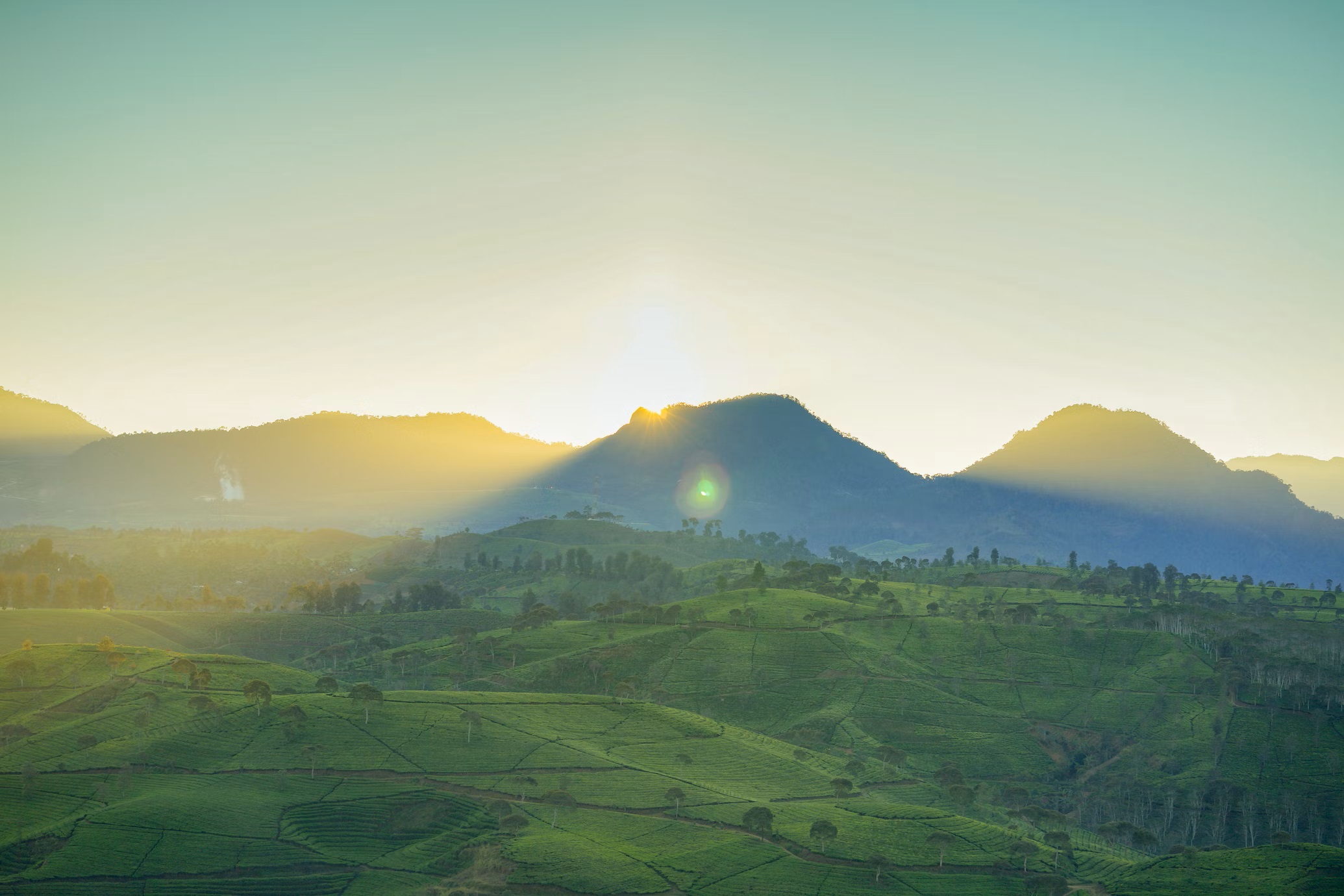 Swiss Of Bandung, Menyusuri Kebun Teh di Nuansa Riung Gunung Pangalengan