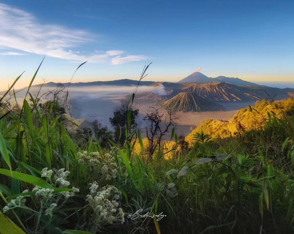 Pesona Keindahan Wisata di Malang: Petualangan di Kota Sejuta Bunga