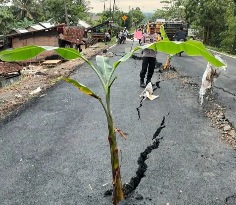 Jalan Nasional Pandeglang -Lebak Ruas Cikeusik Amblas, 1 Rumah Warga Ambruk 