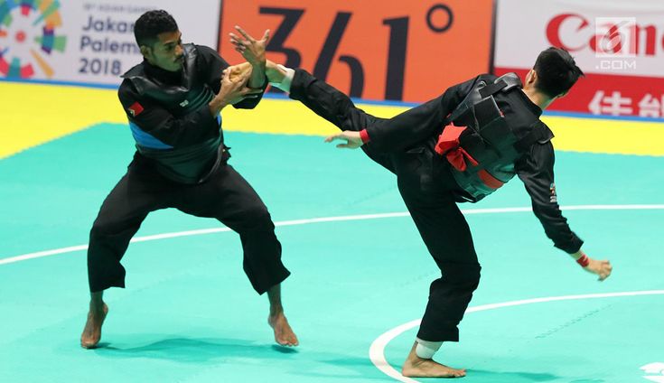 Pencak Silat Perlu Terus Dikembangkan sebagai Olahraga Prestasi dan Budaya