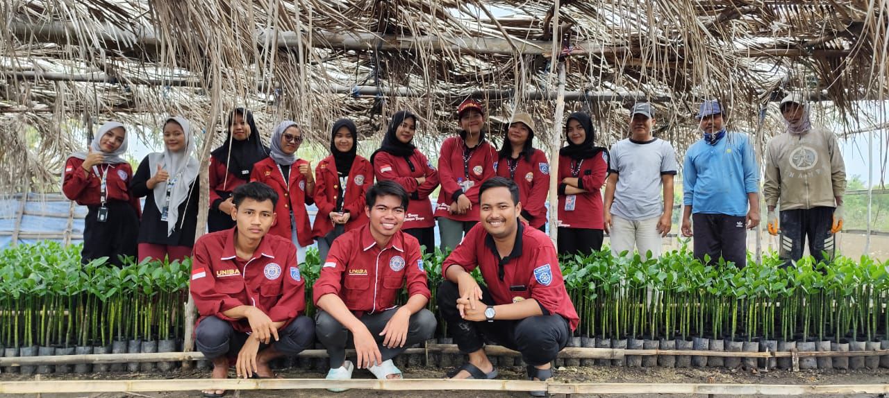 KKM Kelompok 19 UNIBA Lakukan Penanaman Pohon Mangrove untuk Pelestarian Lingkungan