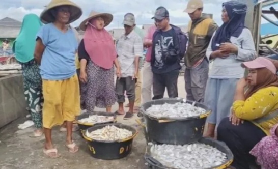 Pandeglang Terimbas Cuaca Ekstrem, Harga Ikan Laut Naik