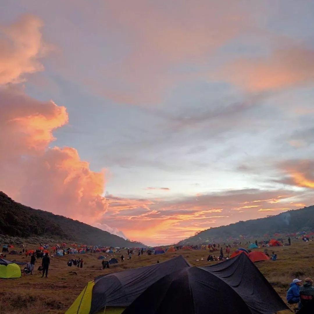 Sisi Lain Keindahan Gunung Gede Pangrango, Kisah Mistik Alun-alun Surya Kencana 