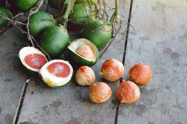 Buah Pinang,  Kecil Ukurannya Besar Khasiatnya 