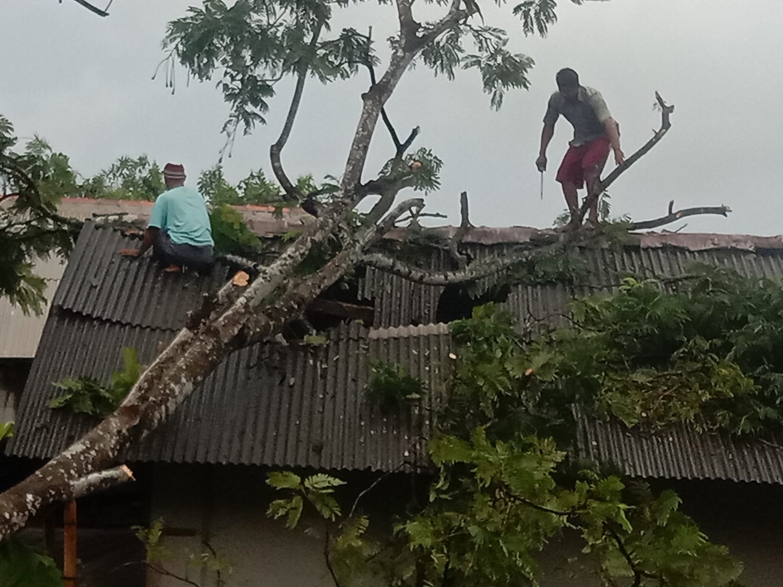 Akibat Hujan Deras Disertai Angin, Salah Satu Rumah Warga di Kecamatan Sobang Mengalami Rusak Parah