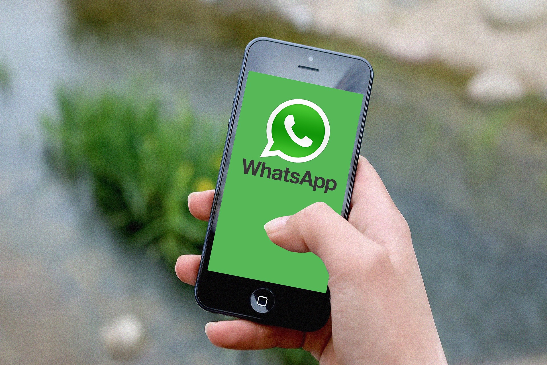 Penasaran? Begini Cara Melihat Pesan WhatsApp yang Dihapus