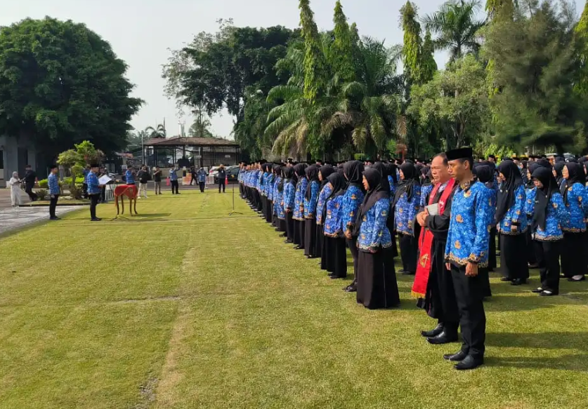 5 Calon PPPK Tahap 2 Bakal Terima NIP Usai Usulan ke BKN, Cek Lengkapnya