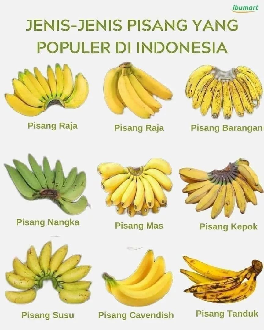 Jenis-Jenis Pisang dan Manfaatnya yang Jarang Diketahui