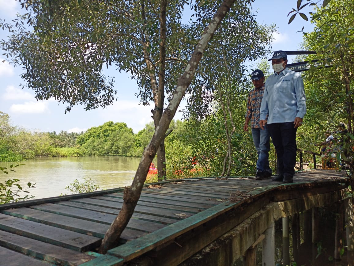 Olahan Kayu Bekas Jadi Penunjang Wisata Mangrove di Panimbang 