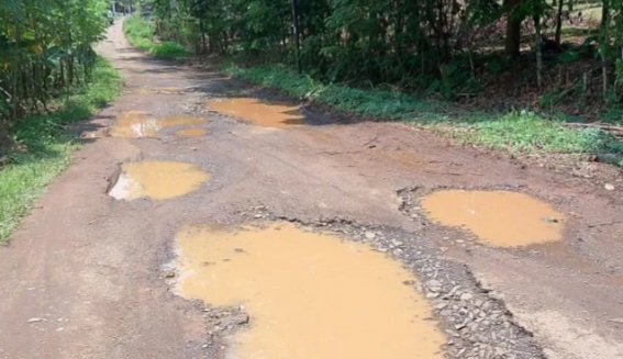 Warga Keluhkan Jalan Rusak Bertahun-tahun, Ini Kata Pemkab Pandeglang