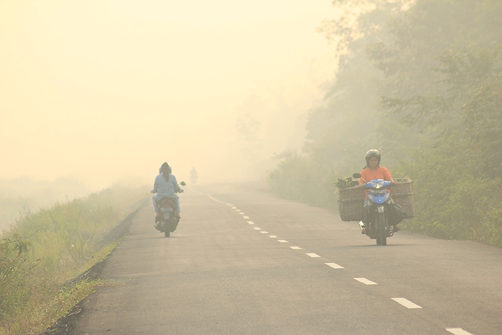 Waspada, Polusi Udara Kabupaten Serang Meningkat Menjadi Kota Paling Berpolusi di Indonesia