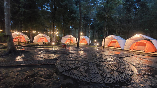 Hejo Forest Jadi Tempat Camping di Ciwidey Terpopuler, Daya Tarik dan Biaya Terjangkau