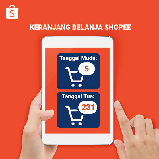 Keranjang Belanja Makin Penuh? Ini 6 Trik Jitu Biar Nggak Kalap Saat Checkout