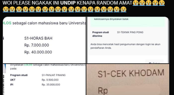 Website Pendaftaran UNDIP Diretas, Nama Program Studi Jadi Kocak Ada Jurusan Cek Khodam