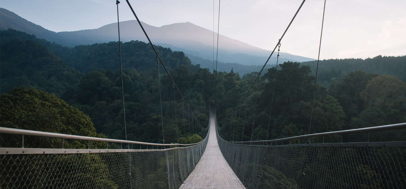 Wisata Sukabumi, 6 Spot Menarik di Wisata Alam Situ Gunung 