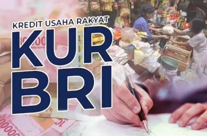 Pengajuan Pinjaman KUR BRI 2023 Rendah Bunga, Ini Perbedaan KUR Mikro dan KUR Ritel