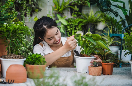 Tips Memulai Berkebun di Rumah: Panduan Praktis untuk Pemula