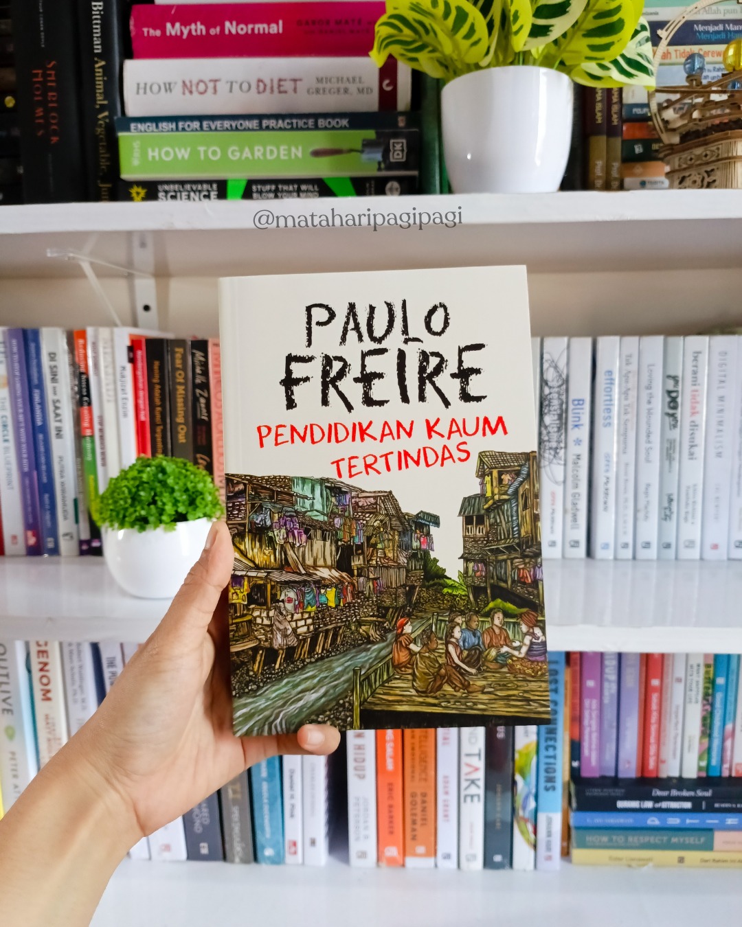 Pendidikan Kaum Tertindas: Ketika Sekolah Menjadi Alat Pembebasan