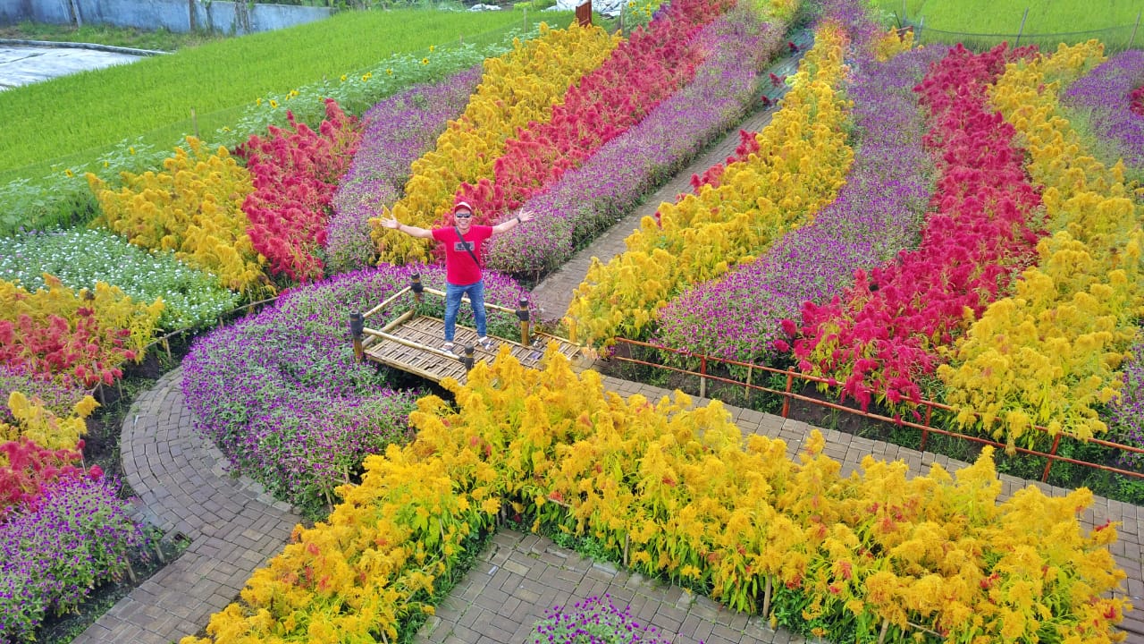 Wisata Pandeglang Taman Bunga Kadung Hejo, Tempat Terbaik Untuk Berlibur Bersama Keluarga