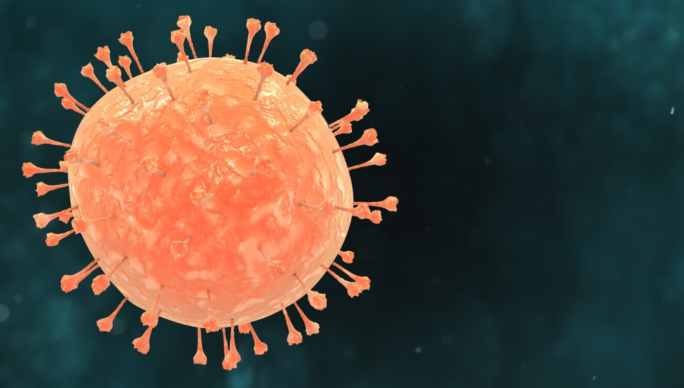 Tingkat Fatalitas Capai 70 Persen Kenali Gejala dan Penularan Virus Nipah