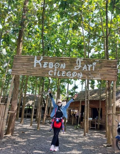 Kebon Jati Cilegon, Wisata Cilegon dengan Indahnya Hamparan Pepohonan Jati