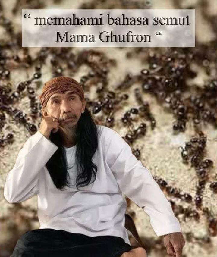 Viral Mama Gufron Akui Memahami dan Menguasi Bahasa Semut, Ini Penjelasan Ulama dan Para Ilmuan