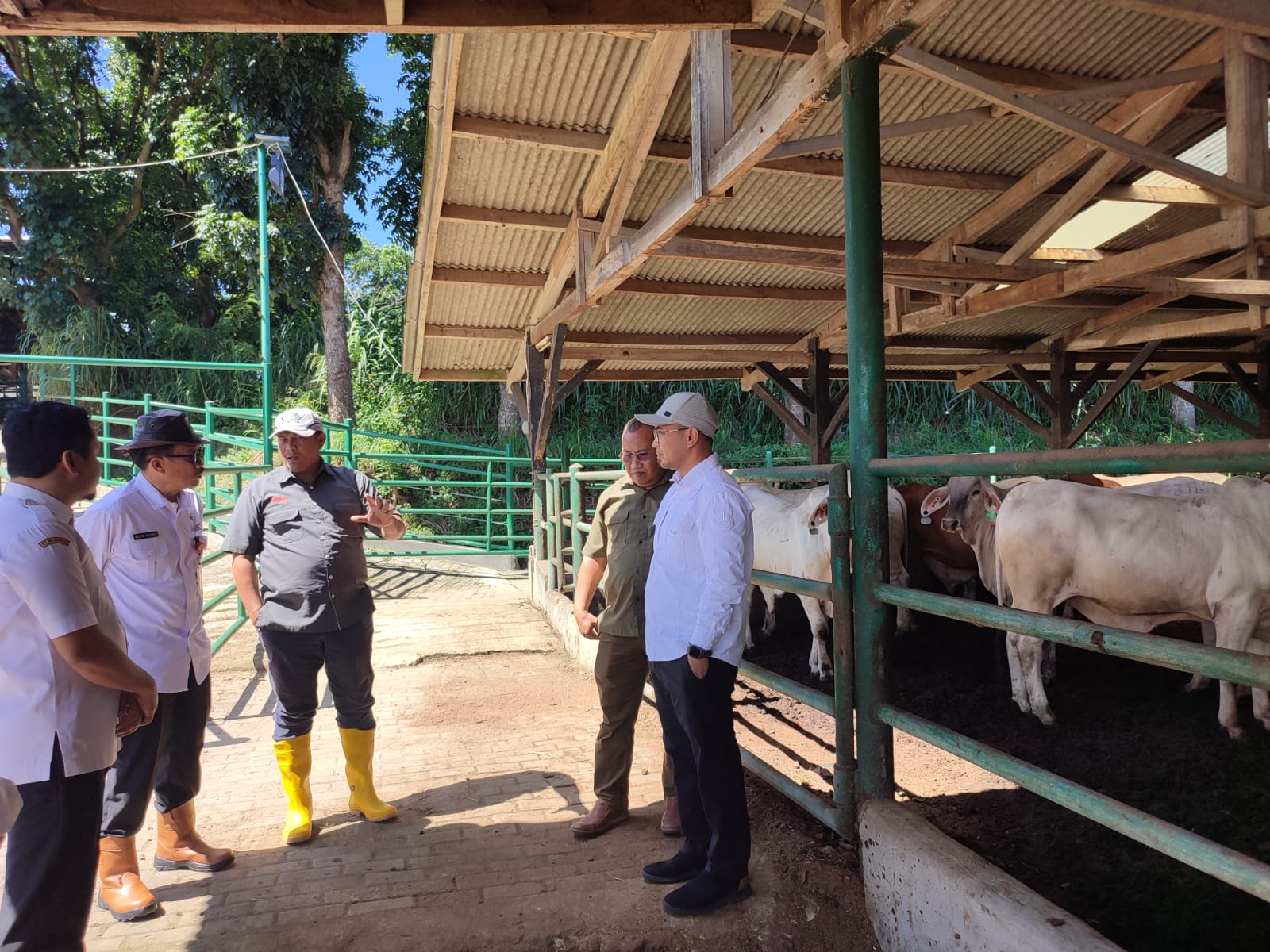 Menjelang Hari Raya Idul Fitri, Distan Banten Pastikan Daging Sapi dan Kerbau Aman Konsumsi