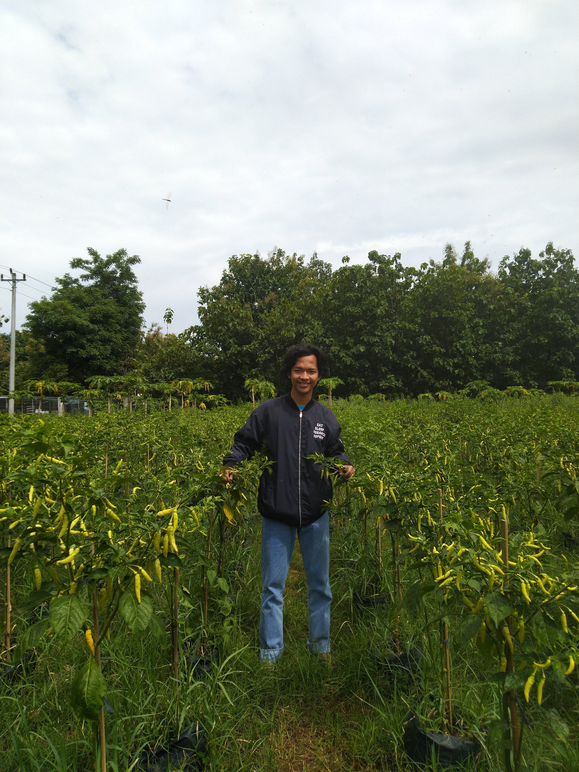 Pemuda Ini Bagikan Susahnya Jadi Petani di Indonesia, Curhat di Medsos Ungkap Realita Pahit di Lapangan