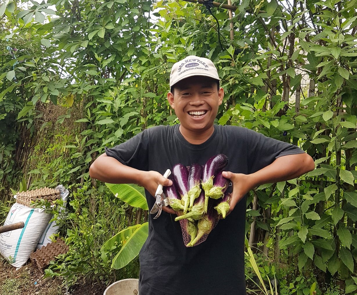 Dari Hobi Berkebun, Imam Munandar Bagikan Sayur Segar Setiap Jum’at