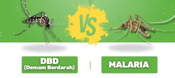 DBD dan Malaria Ternyata Berbeda? Begini Penjelasan Lebih Lengkapnya