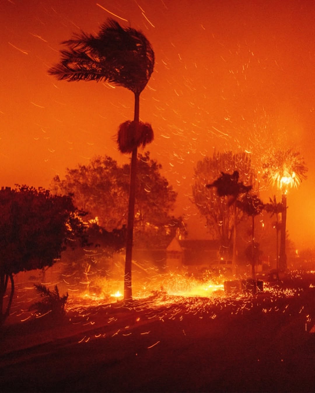 Los Angeles Dilanda Kebakaran Hutan, Ribuan Warga Mengungsi