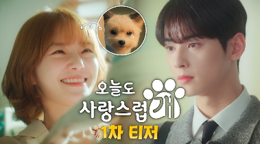 Drama Korea Adaptasi Webtoon, A Goog To Be A Dog Diperankan Cha Eunwoo Rilis Tanggal Tayang