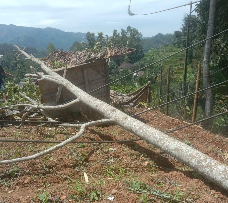 Sebanyak 13 Rumah di Lebak Selatan Rusak Diterjang Angin Kencang