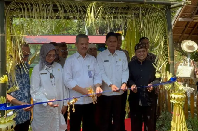 Dari Bandung Pandeglang ke Vietnam: BUMDes Berhasil Bawa Ikan Mas Sinyonya ke Pasar Internasional