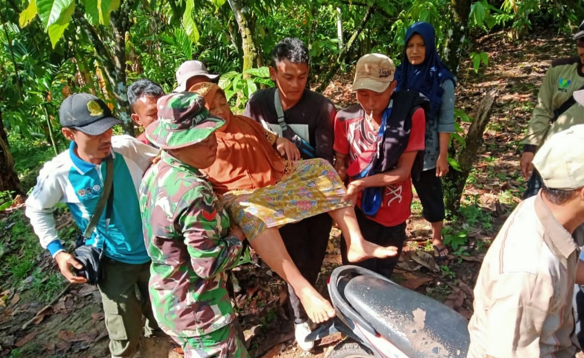 Nyaris Diinjak Gajah Saat di Kebun, Nenek di Lampung Barat Dievakuasi