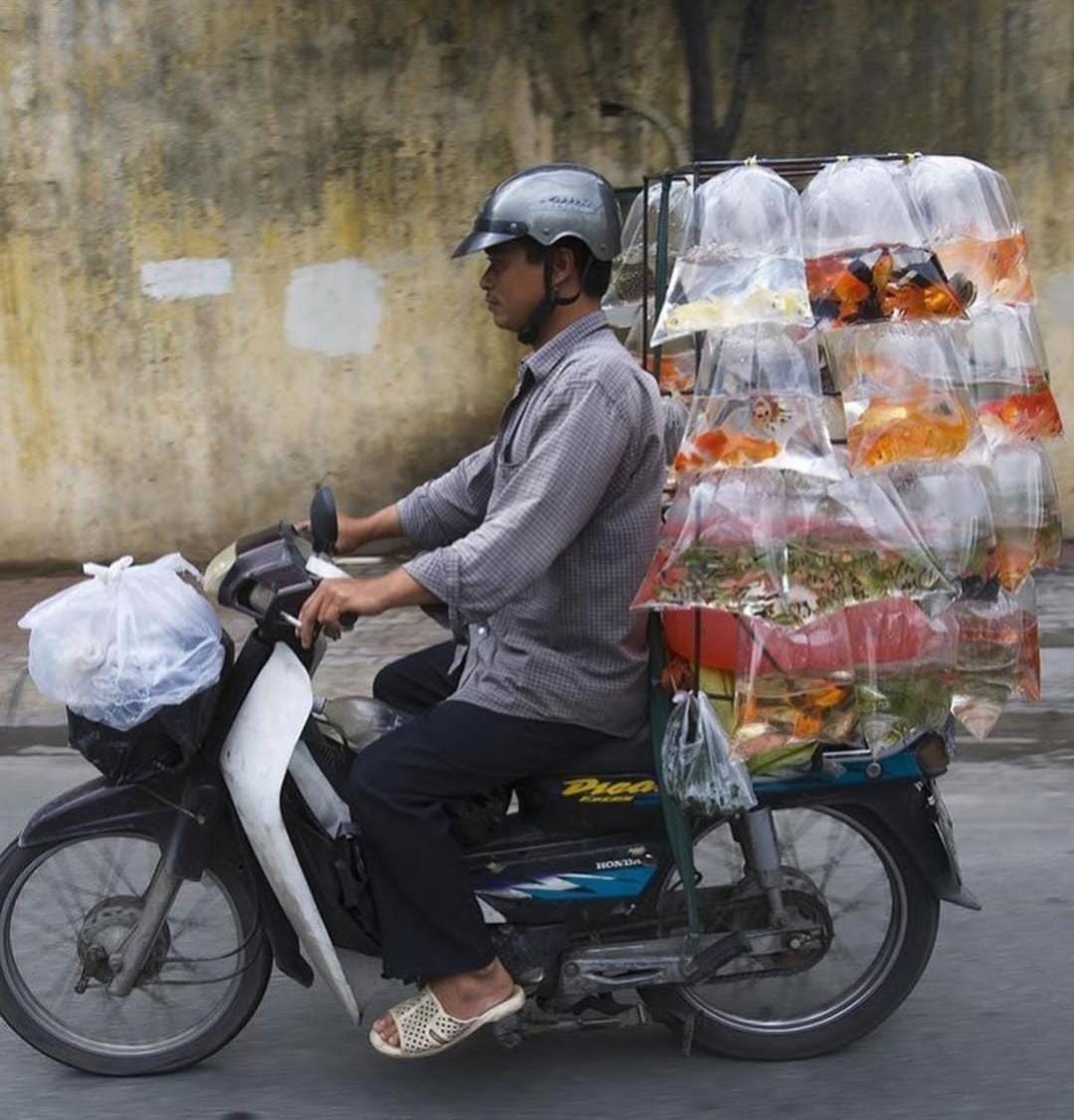 Cuma di Asia Tenggara, Ini Kumpulan Potret Unik Sepeda Motor Overload