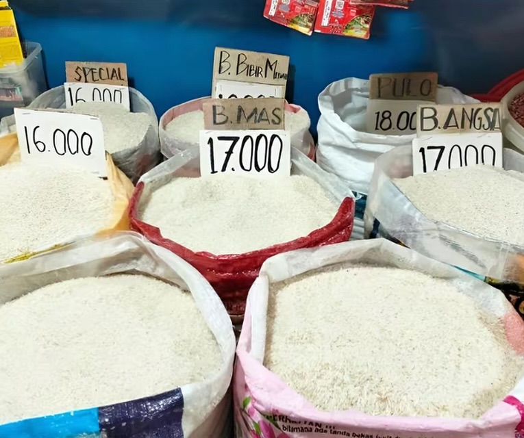 Di tengah Tingginya Harga Beras, Inilah Tips Menyimpan Beras agar Terhindar dari Kutu Beras