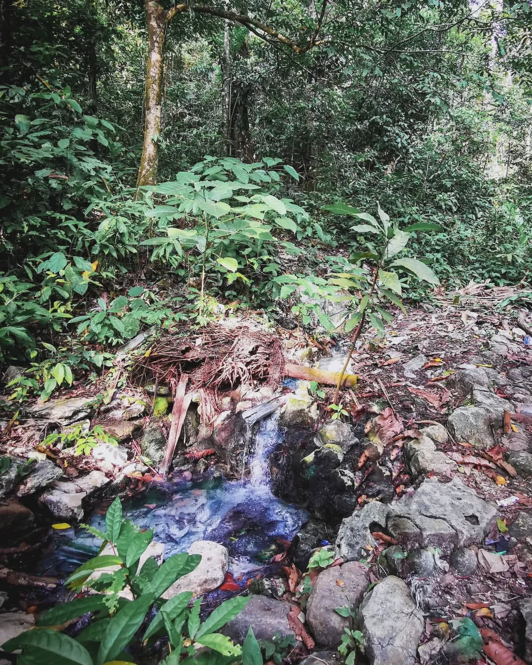 Air Panas Cibiuk, Pesona Wisata Alam dan Relaksasi di Taman Nasional Ujung Kulon Pandeglang