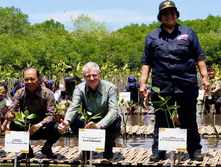Terbang ke Bali, Menteri Lingkungan Hidup Indonesia dan Inggris Tanam Mangrove di Tahura