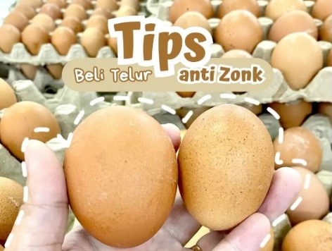 Cara Memilih Telur Ayam yang Bagus, Anti Zonk